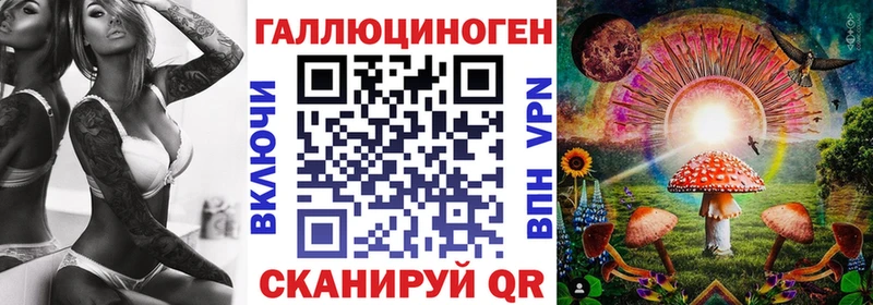 Псилоцибиновые грибы Psilocybine cubensis  Астрахань 