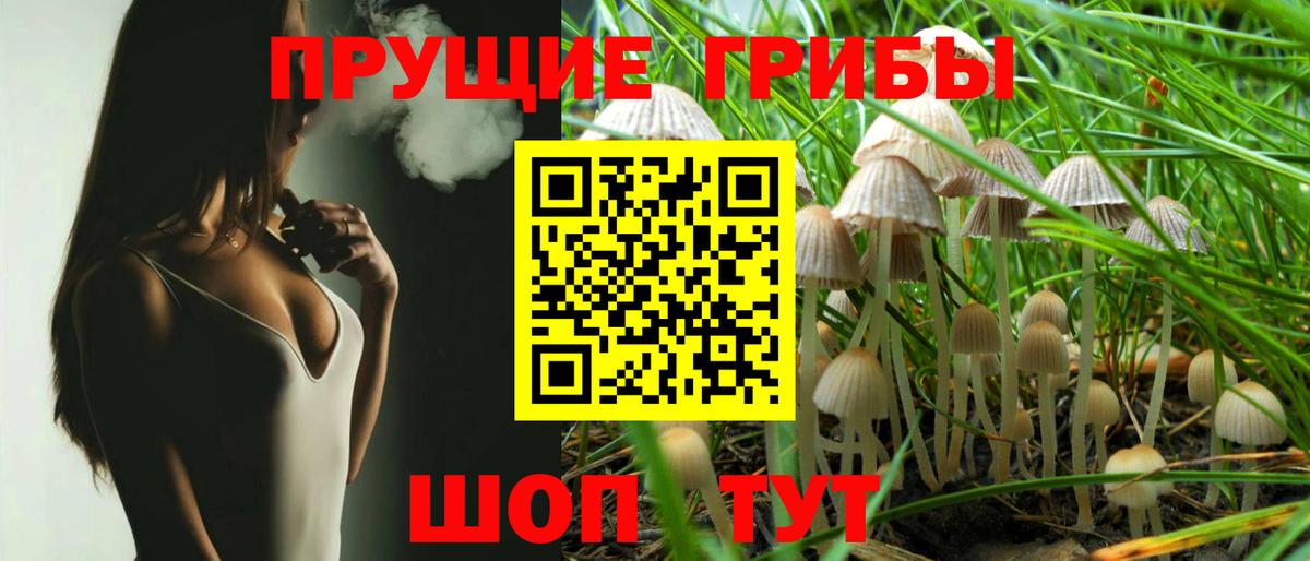 Астрахань  Галлюциногенные грибы Cubensis  Вход с VPN 