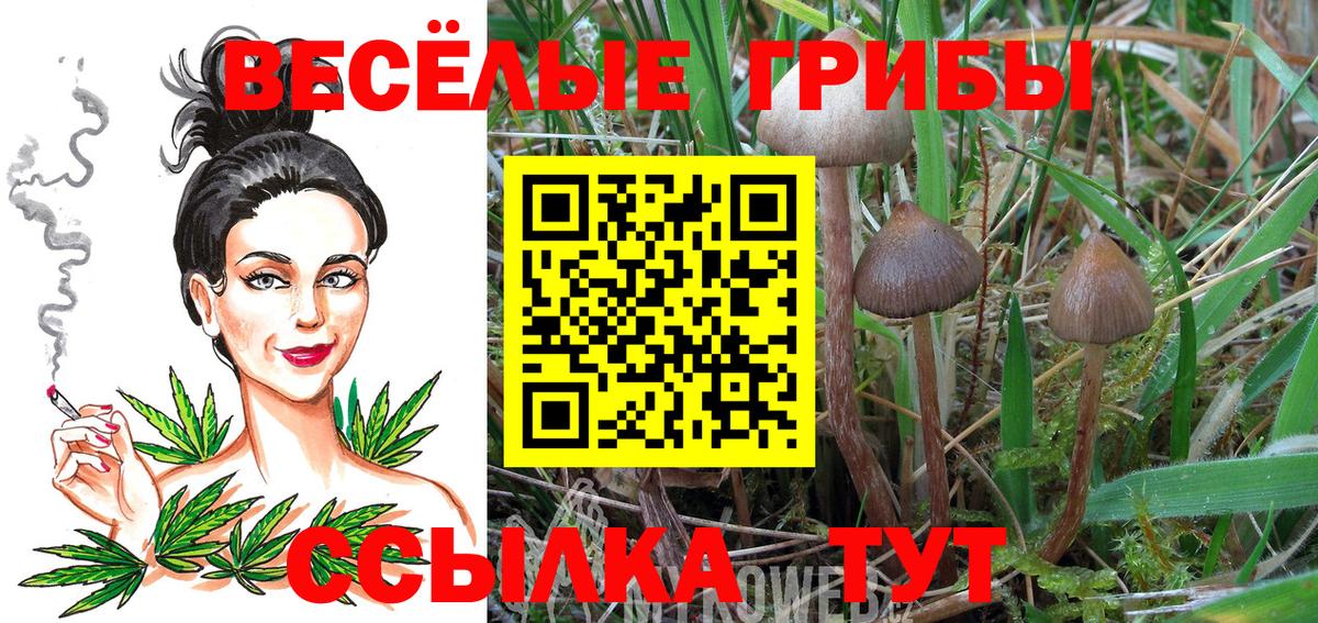 Галлюциногенные грибы прущие грибы Астрахань
